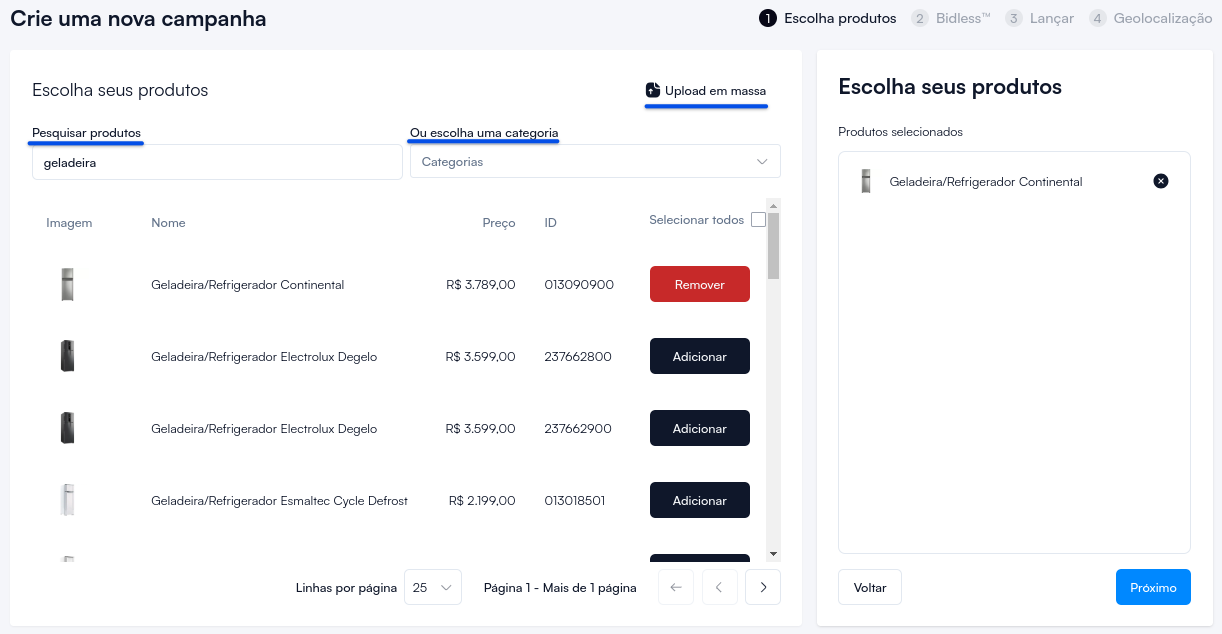 Crie uma nova campanha 2024-09-23 21-02-36.png